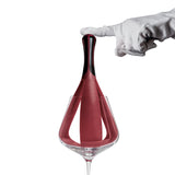 glass polishing rod including polishing cloth