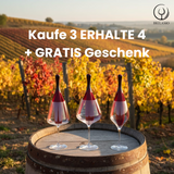 glass polishing rod including polishing cloth