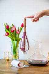 Glas-Polierstab mit Holzgriff inkl. 2 Poliertüchern (Limitierte Auflage)